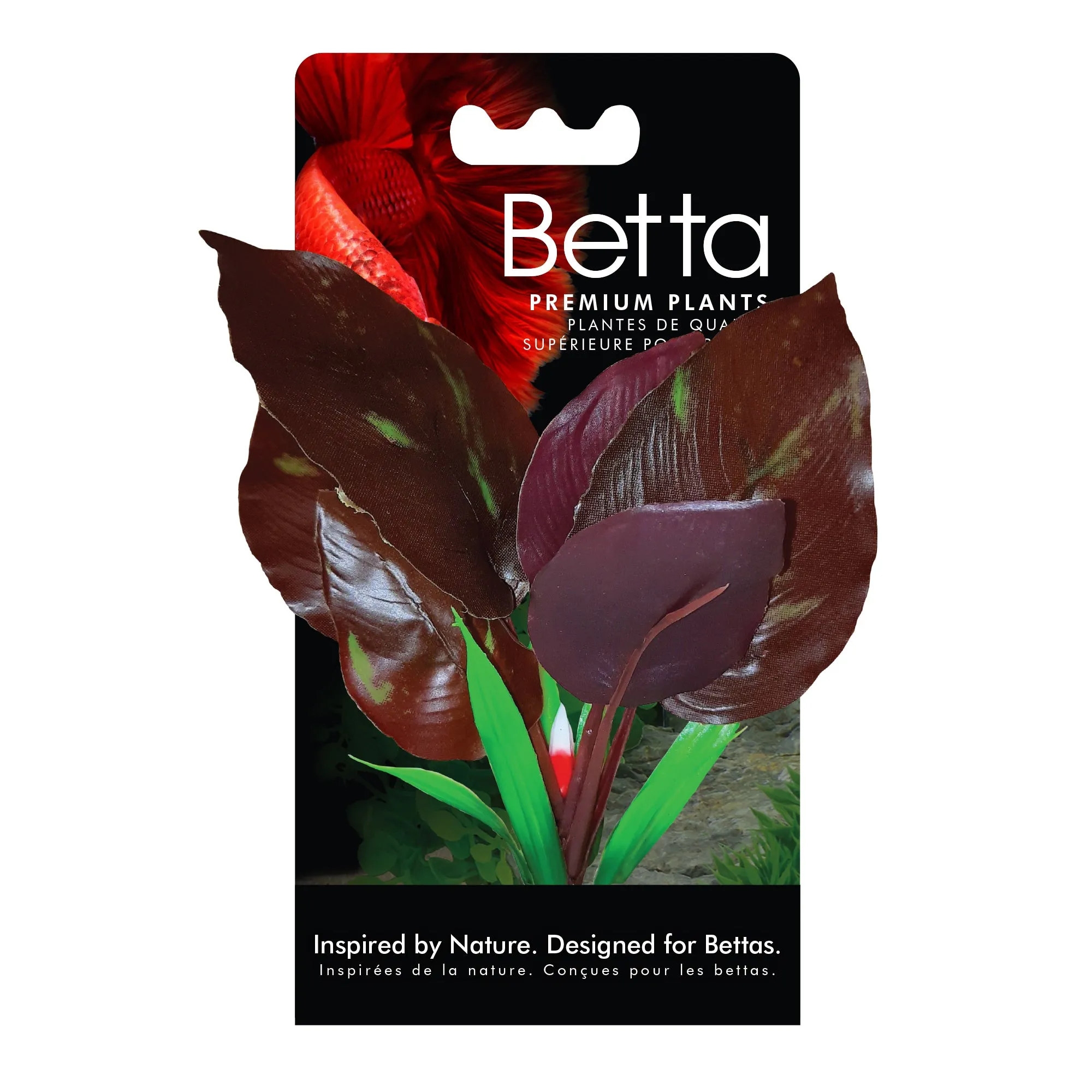 Fluval Betta Red Lizard Plant 6 inch